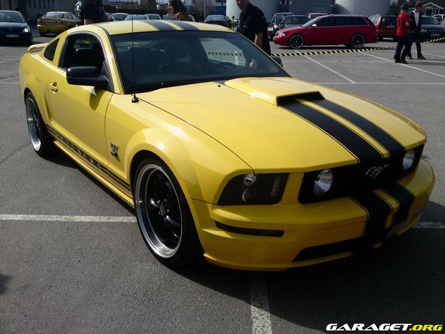 https://www1.garaget.org/gallery/archive/56813/637454_ldoe8f.jpg