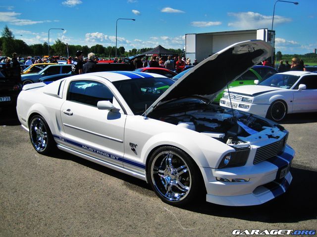 https://www1.garaget.org/gallery/archive/56813/665907_nn8ngt.jpg