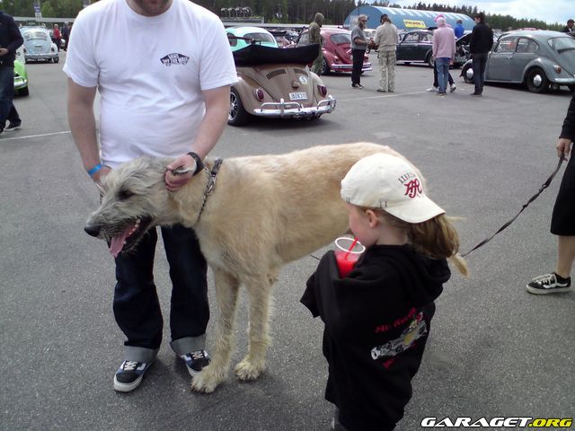 https://www1.garaget.org/gallery/archive/56813/680978_wn9mfp.jpg