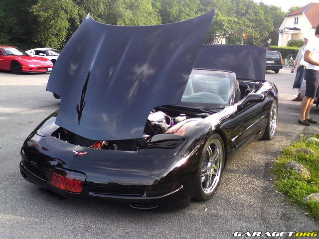 https://www1.garaget.org/gallery/archive/56813/716406_nztbyb.jpg