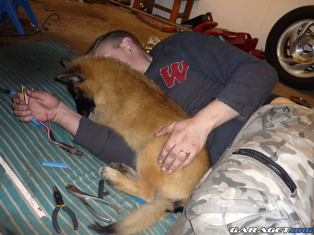 https://www1.garaget.org/gallery/archive/58327/925996_3l5dxa.jpg