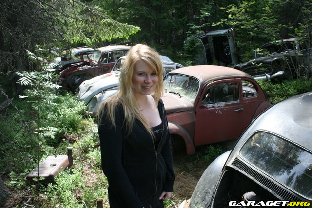 https://www1.garaget.org/gallery/archive/64939/374203_wlzpoj.jpg