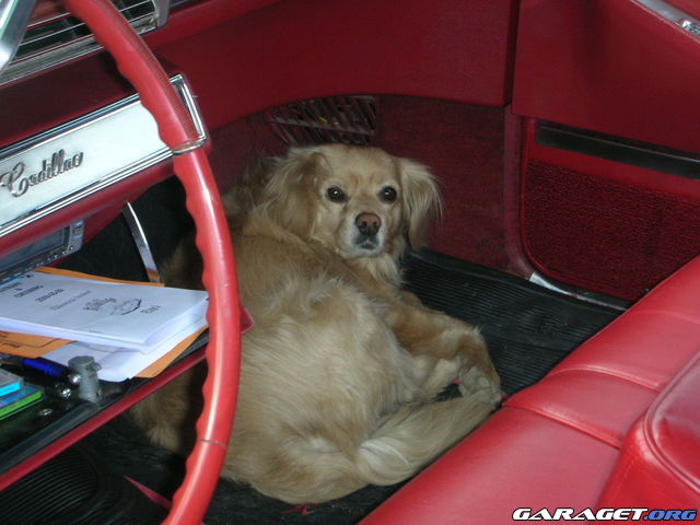 https://www1.garaget.org/gallery/archive/64939/660581_jtqsr0.jpg