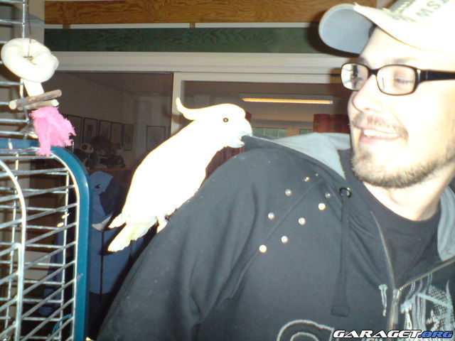https://www1.garaget.org/gallery/archive/67375/423049_4ptz99.jpg