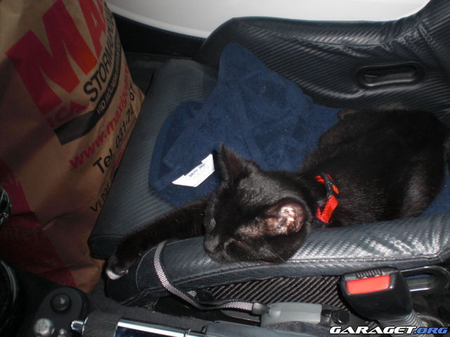 https://www1.garaget.org/gallery/archive/71219/687951_qei2ng.jpg