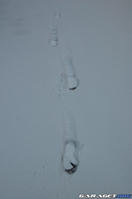 https://www1.garaget.org/gallery/archive/71552/578753_y5sohl.jpg