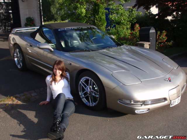 https://www1.garaget.org/gallery/archive/71892/373433_v3urgh.jpg