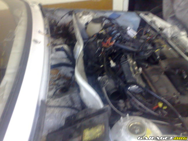 https://www1.garaget.org/gallery/archive/78510/492498_exlwnu.jpg