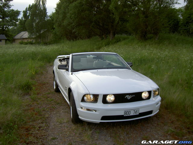 https://www1.garaget.org/gallery/archive/78678/373035_1r295t.jpg