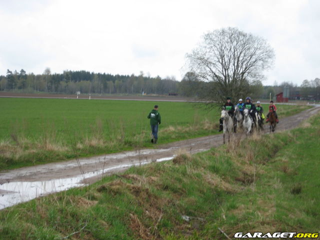 https://www1.garaget.org/gallery/archive/79292/936614_mxv875.jpg