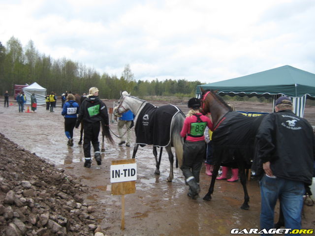 https://www1.garaget.org/gallery/archive/79292/936630_0uzv4p.jpg