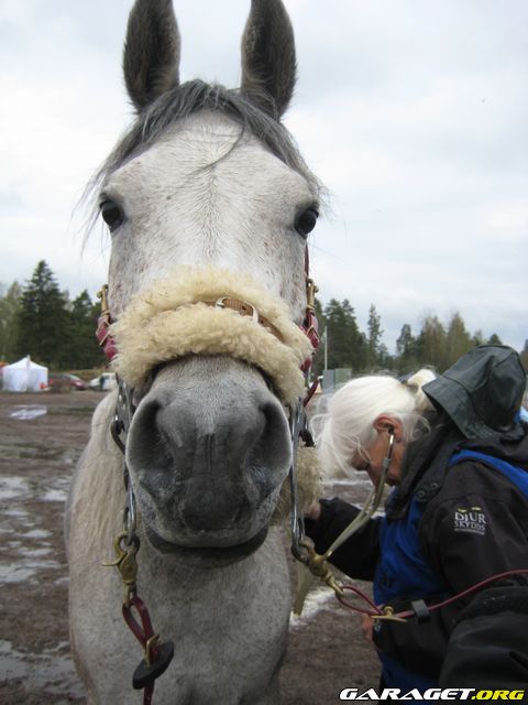 https://www1.garaget.org/gallery/archive/79292/936640_t65819.jpg
