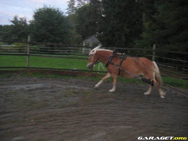 https://www1.garaget.org/gallery/archive/79292/997914_898gk7.jpg