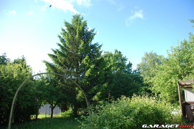 https://www1.garaget.org/gallery/archive/7977/686104_1g3zv5.jpg