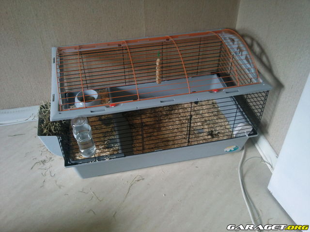 https://www1.garaget.org/gallery/archive/7977/718030_xsc8uu.jpg