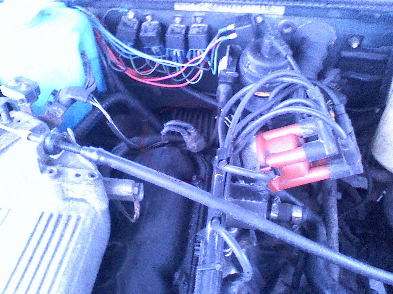 https://www1.garaget.org/gallery/archive/89577/large/550843_bj3889.jpg