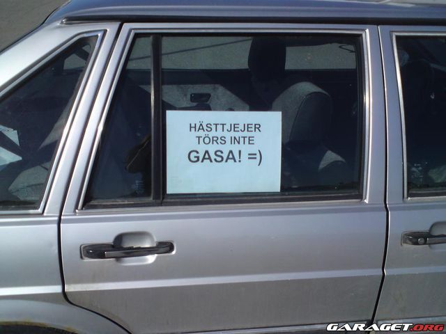 https://www1.garaget.org/gallery/archive/91973/619139_bht6ja.jpg