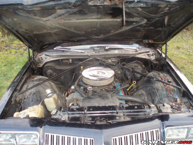https://www1.garaget.org/gallery/images/105/104934/104934-5866399cd33c096b06ac1daae082649d.jpg