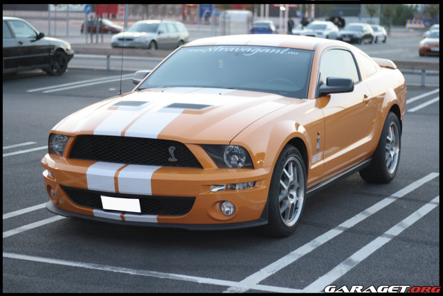 https://www1.garaget.org/gallery/images/121/120949/120949-4a5e703f7f0035a4a1e0af9db4145d94.jpg