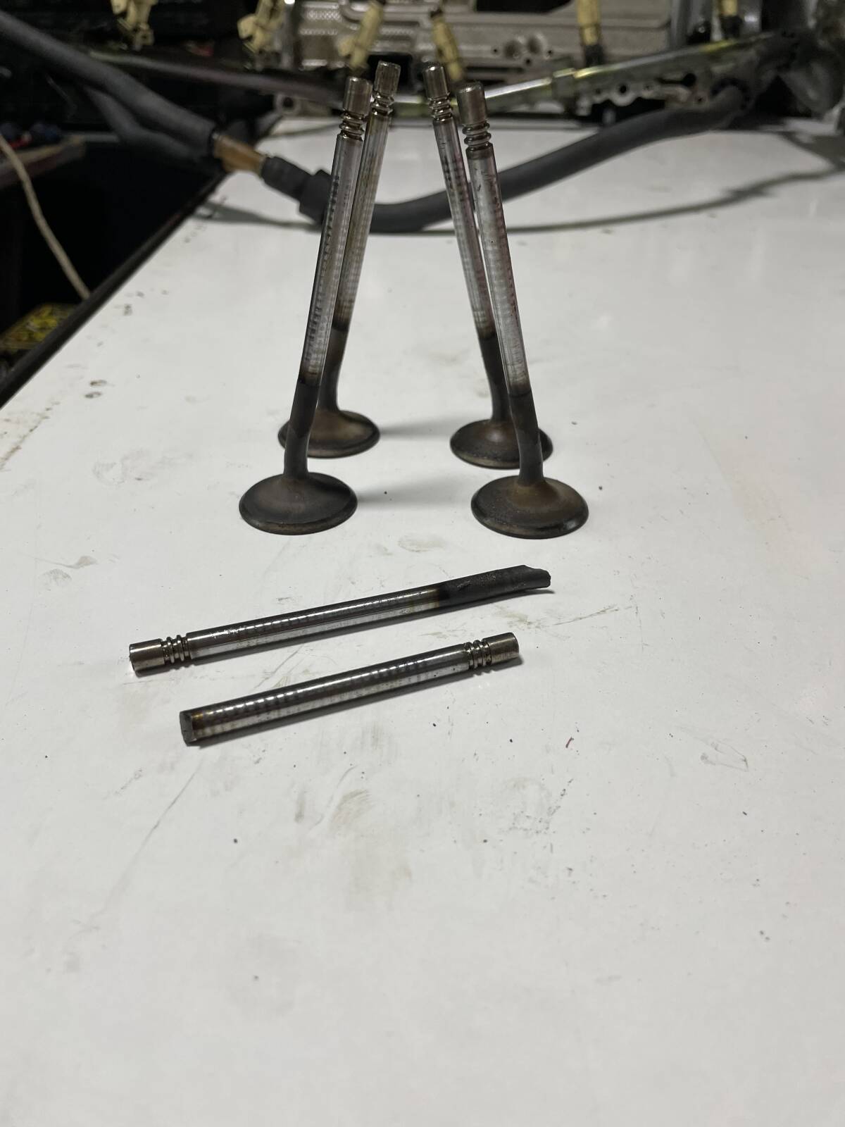 https://www1.garaget.org/gallery/images/133/132274/132274-3c53536513c6293a4a5eb019e4ff7ae7.jpg
