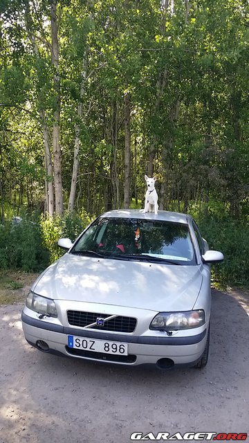 https://www1.garaget.org/gallery/images/151/150284/150284-db886d19af08f442c9247a32b6af8a8e.jpg
