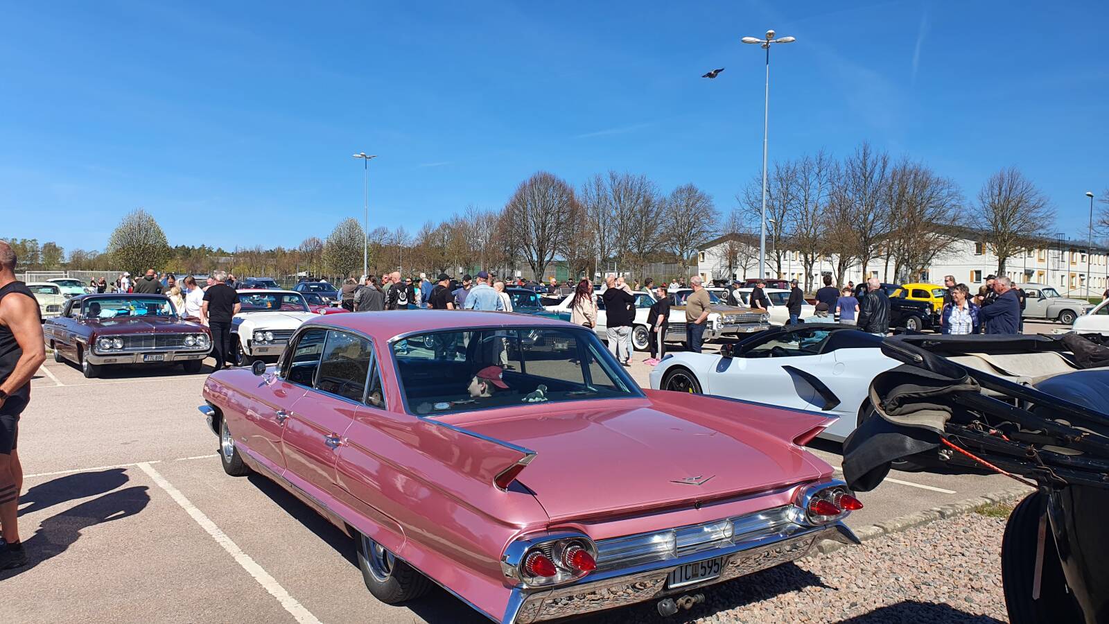 https://www1.garaget.org/gallery/images/156/155033/155033-8690124c3ec84ec17d37e87ea3bbf7b7.jpg