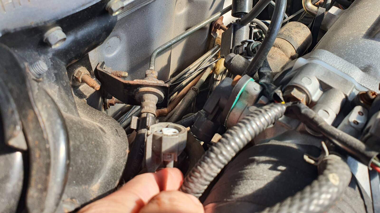 https://www1.garaget.org/gallery/images/156/155033/155033-d1e3df590be5caefac08c8397872cf5a.jpg