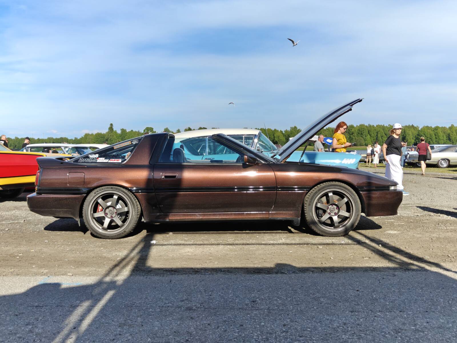 https://www1.garaget.org/gallery/images/214/213660/213660-06f29e923a83bb0ada67f4263d2b5f4a.jpg
