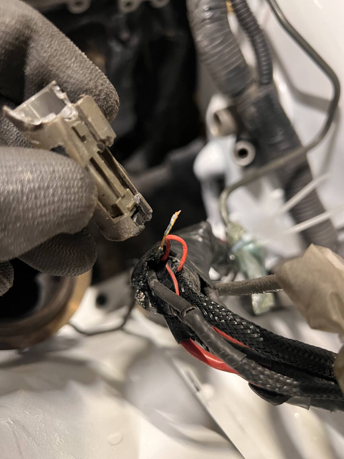 https://www1.garaget.org/gallery/images/217/216602/216602-6f59ae0114238146fa4cfe6978f9370c.jpg