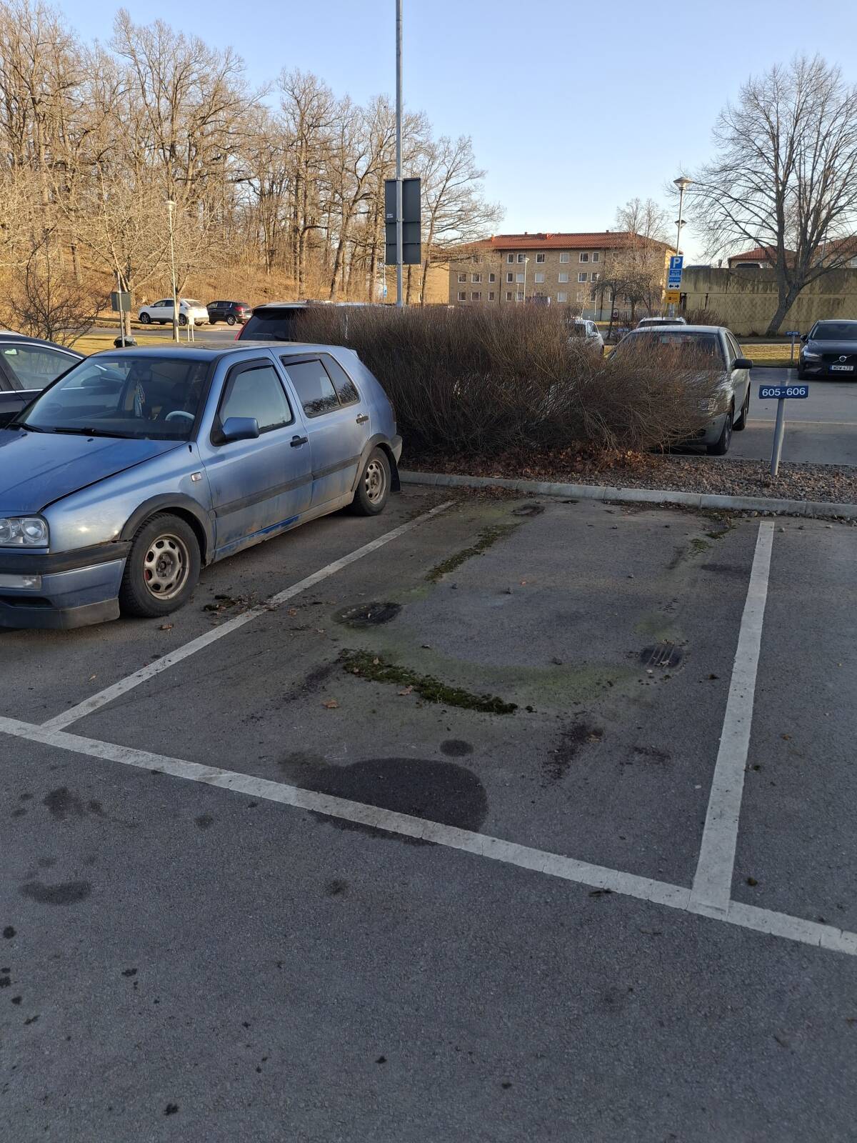 https://www1.garaget.org/gallery/images/219/218143/218143-298c75831f8ed09723fbc0dae3bf36c2.jpg