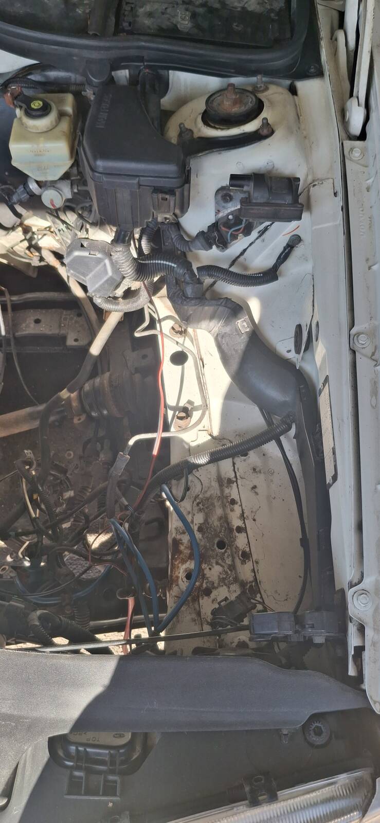 https://www1.garaget.org/gallery/images/219/218143/218143-ff72f1adb22a1627c682437213d7c1c7.jpg
