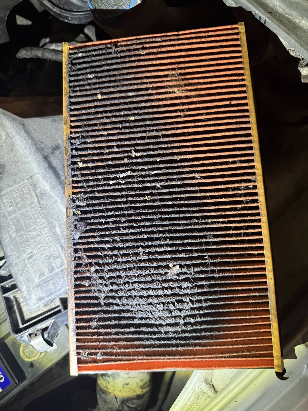 https://www1.garaget.org/gallery/images/222/221438/221438-b53b1e9d99f6b39df686cf63b3e03db3.jpg