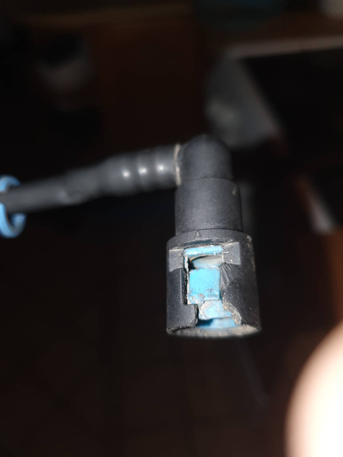 https://www1.garaget.org/gallery/images/238/237972/237972-93ffd99bcedf65dfff60eabab779ec84.jpg