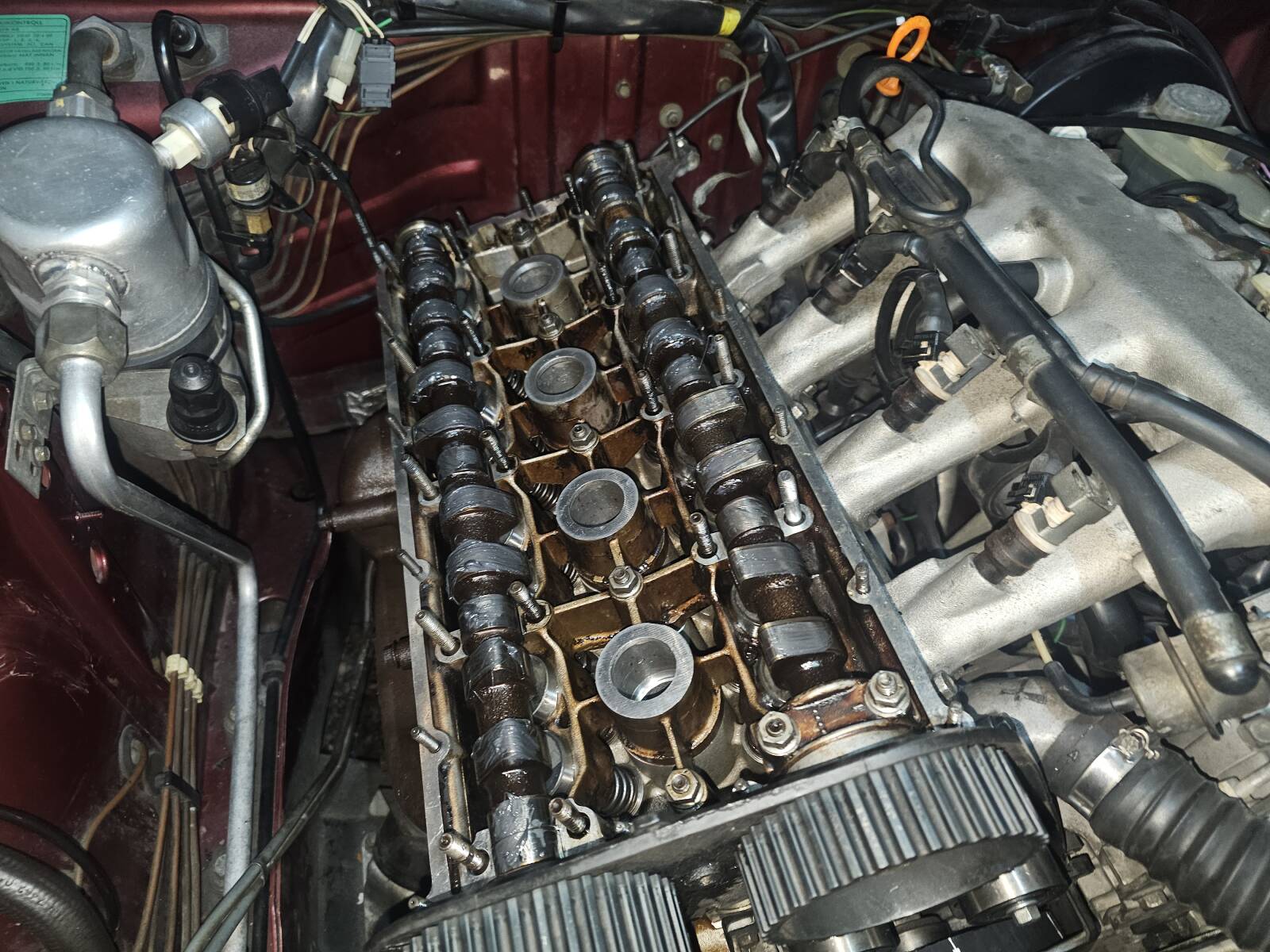 https://www1.garaget.org/gallery/images/239/238399/238399-5e98ea6d710908af3cf8eb104fbf04d4.jpg