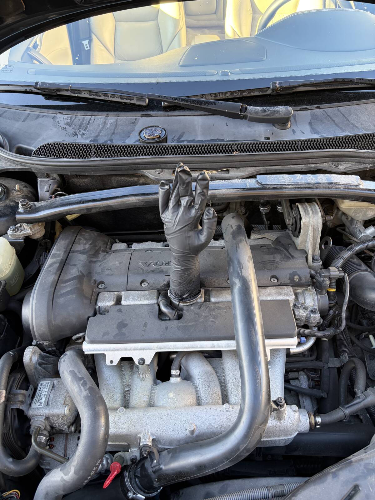 https://www1.garaget.org/gallery/images/244/243180/243180-fda25e277c4002353ec3516b71d507d0.jpg