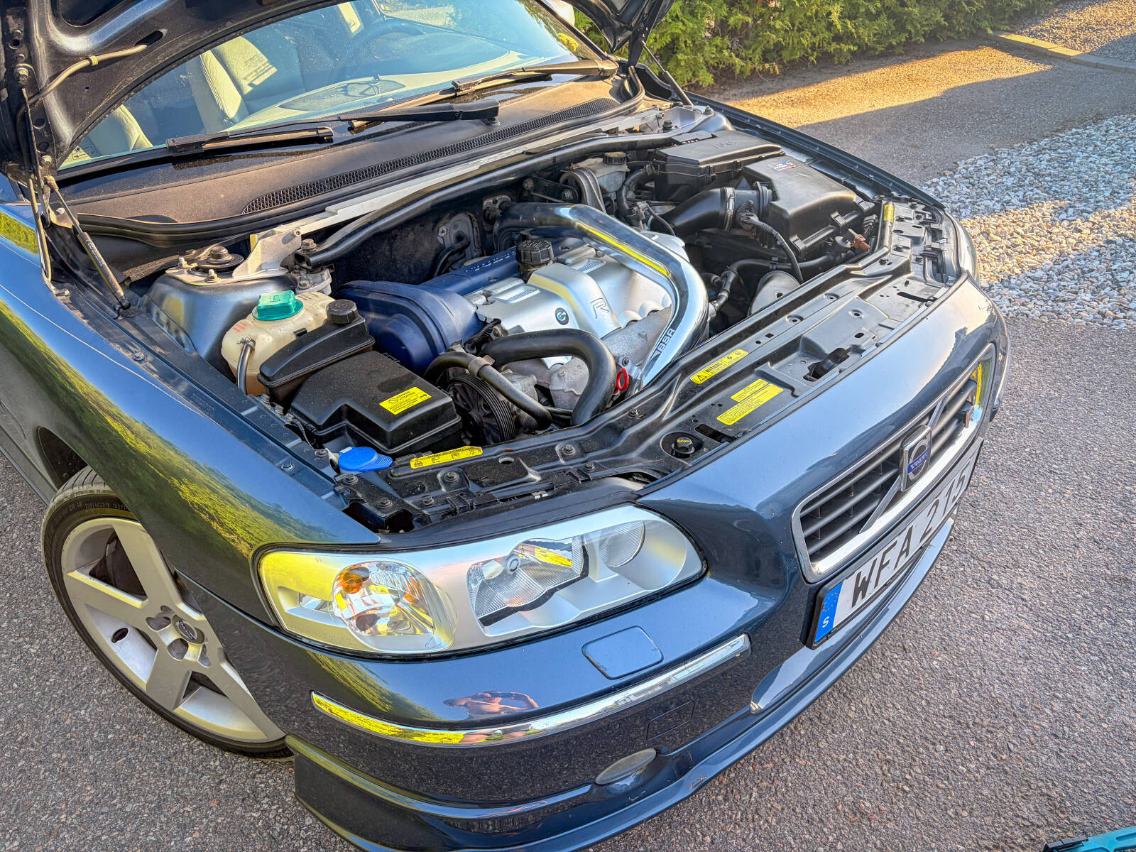 https://www1.garaget.org/gallery/images/246/245324/245324-1e7dafb8219cb5b2e92ecd489ec37491.jpg