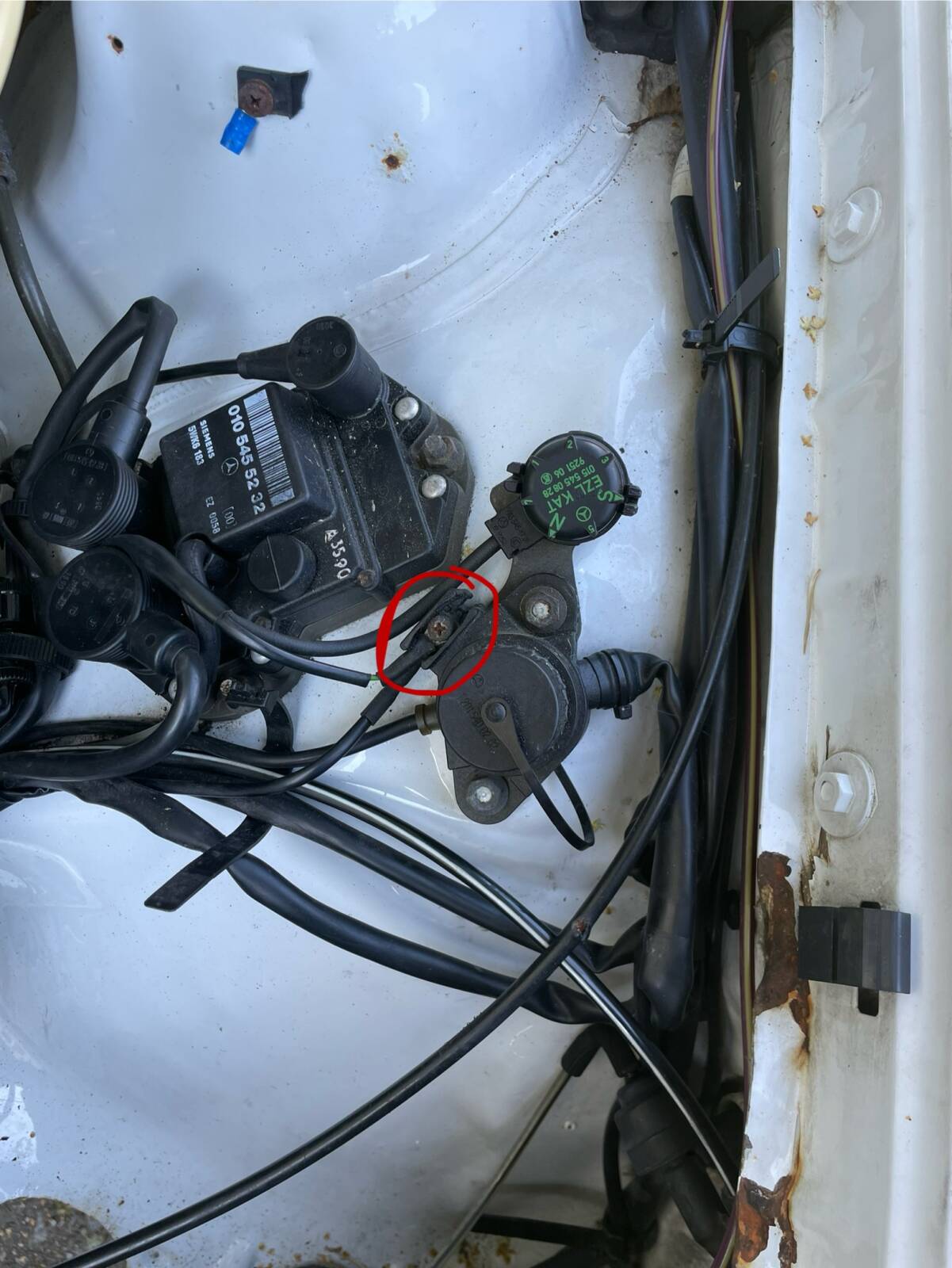 https://www1.garaget.org/gallery/images/249/248682/248682-6805ba93aab9957c3cd3936a7a27a610.jpg