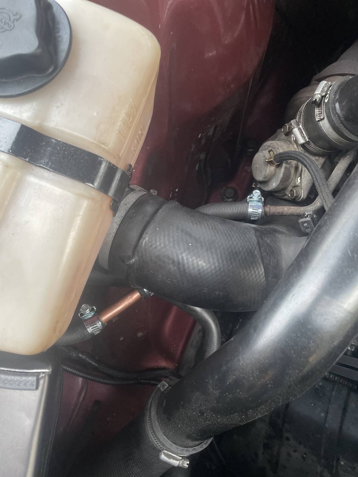 https://www1.garaget.org/gallery/images/253/252648/252648-7246d0d1f615634dfd4f1d65a816baee.jpg