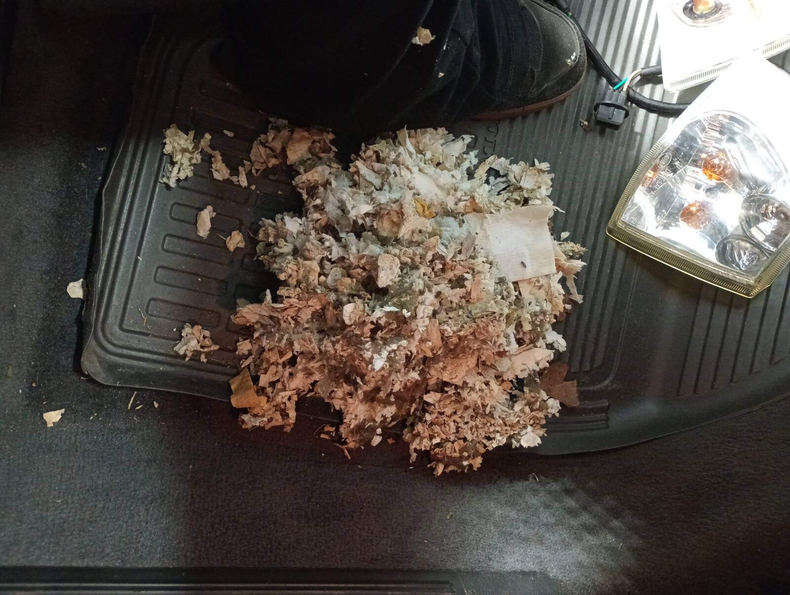 https://www1.garaget.org/gallery/images/254/253132/253132-74359496aeff88b635dfb83e4ef1a697.jpg