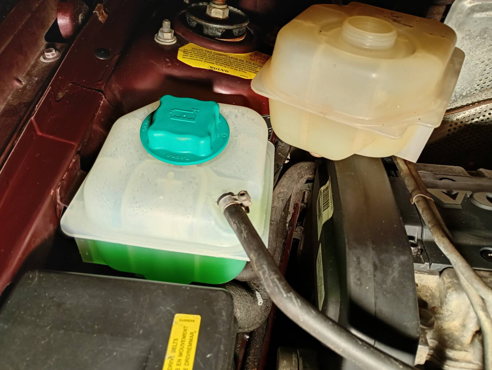 https://www1.garaget.org/gallery/images/254/253132/253132-b2bd1bb862f596e0dbcdcf33cd870466.jpg