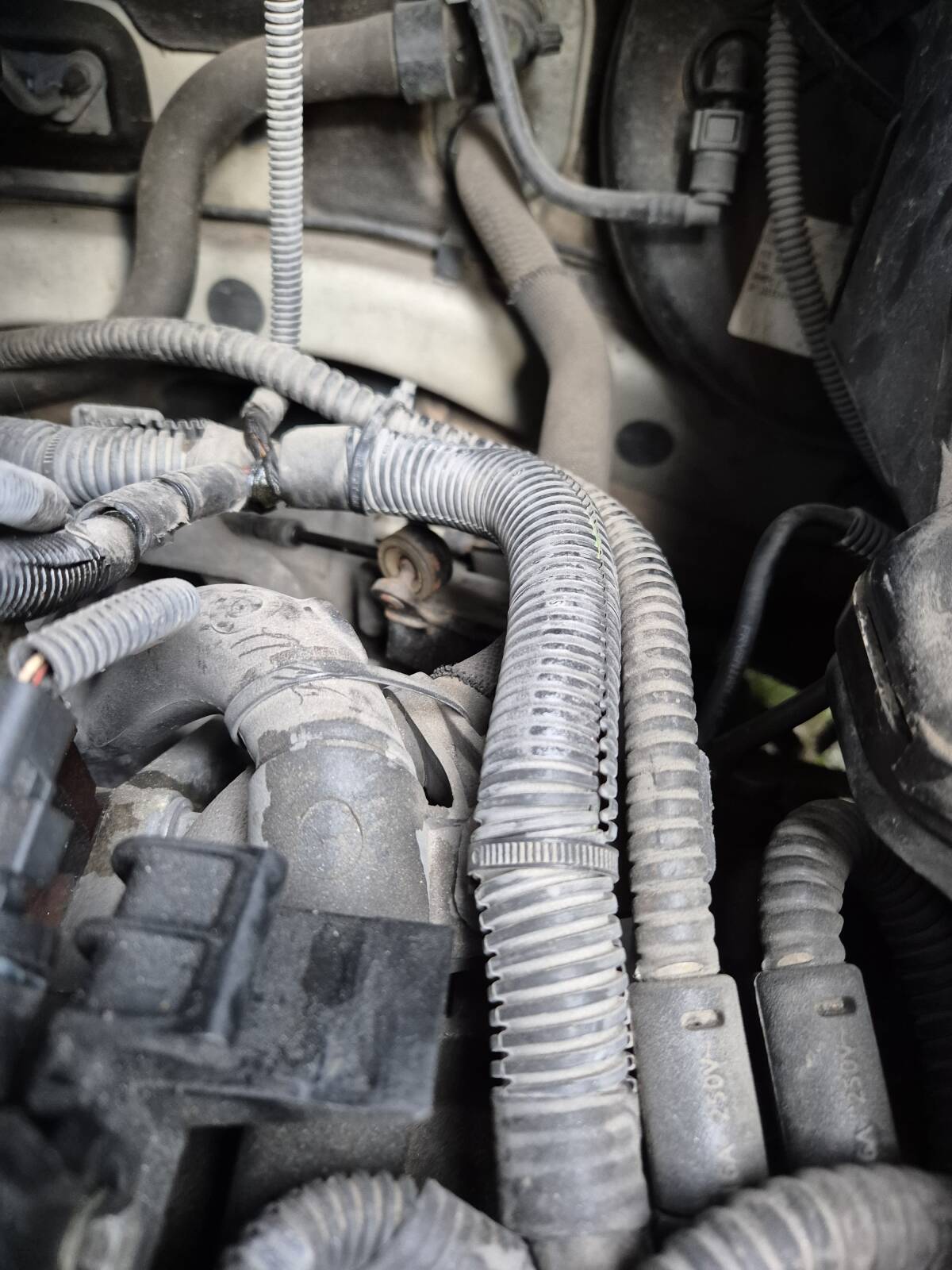 https://www1.garaget.org/gallery/images/254/253155/253155-3a22f5e59d4250a30f983007d5143848.jpg