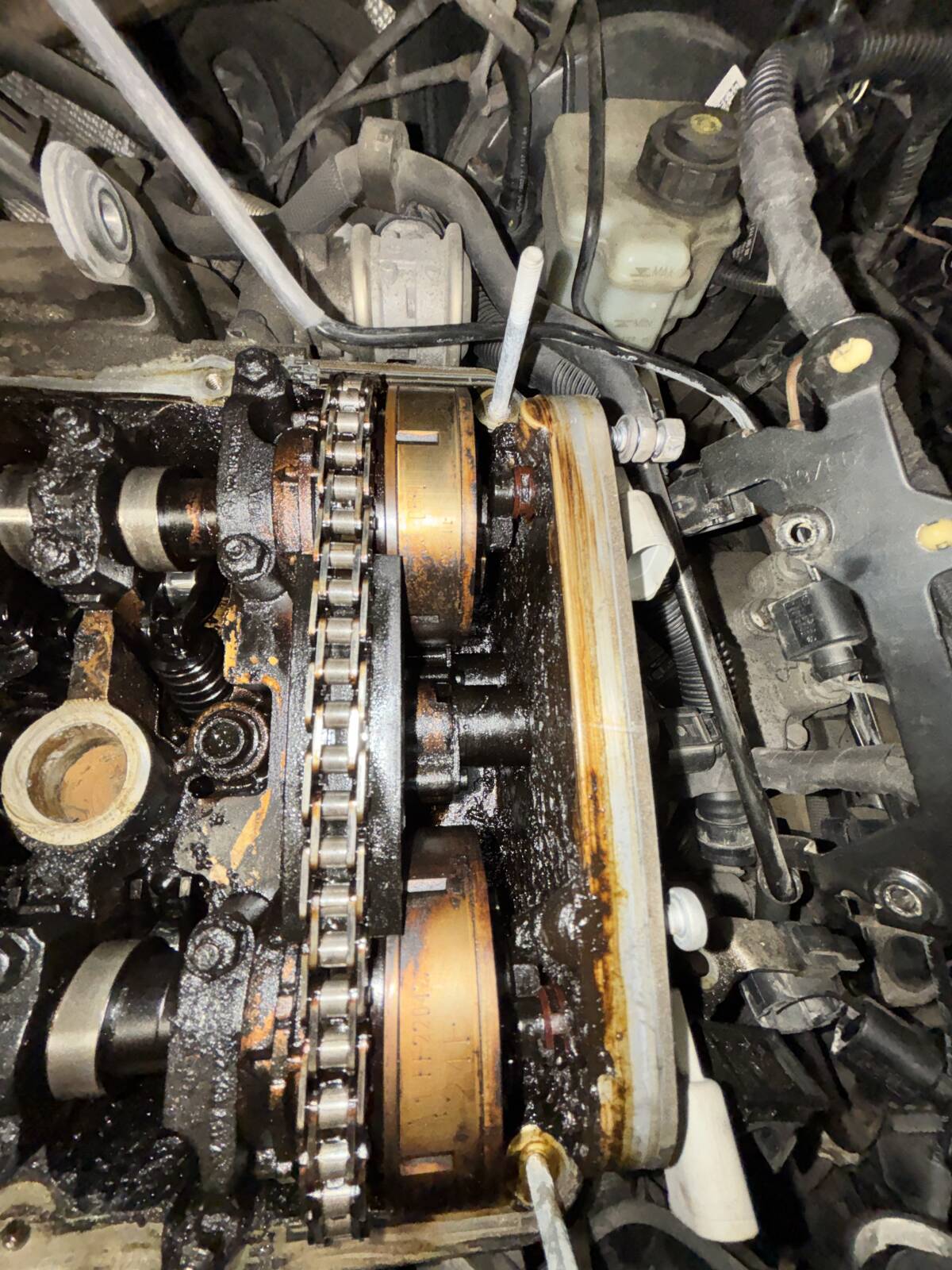 https://www1.garaget.org/gallery/images/254/253181/253181-d3b577c1c6c17544b8f0288080719f2a.jpg