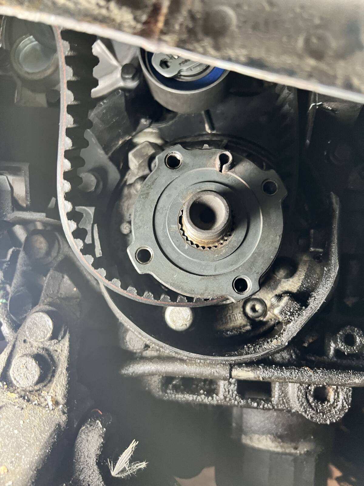 https://www1.garaget.org/gallery/images/31/30683/30683-5499ab1bf753d330ab8eb5fe9c58ff30.jpg