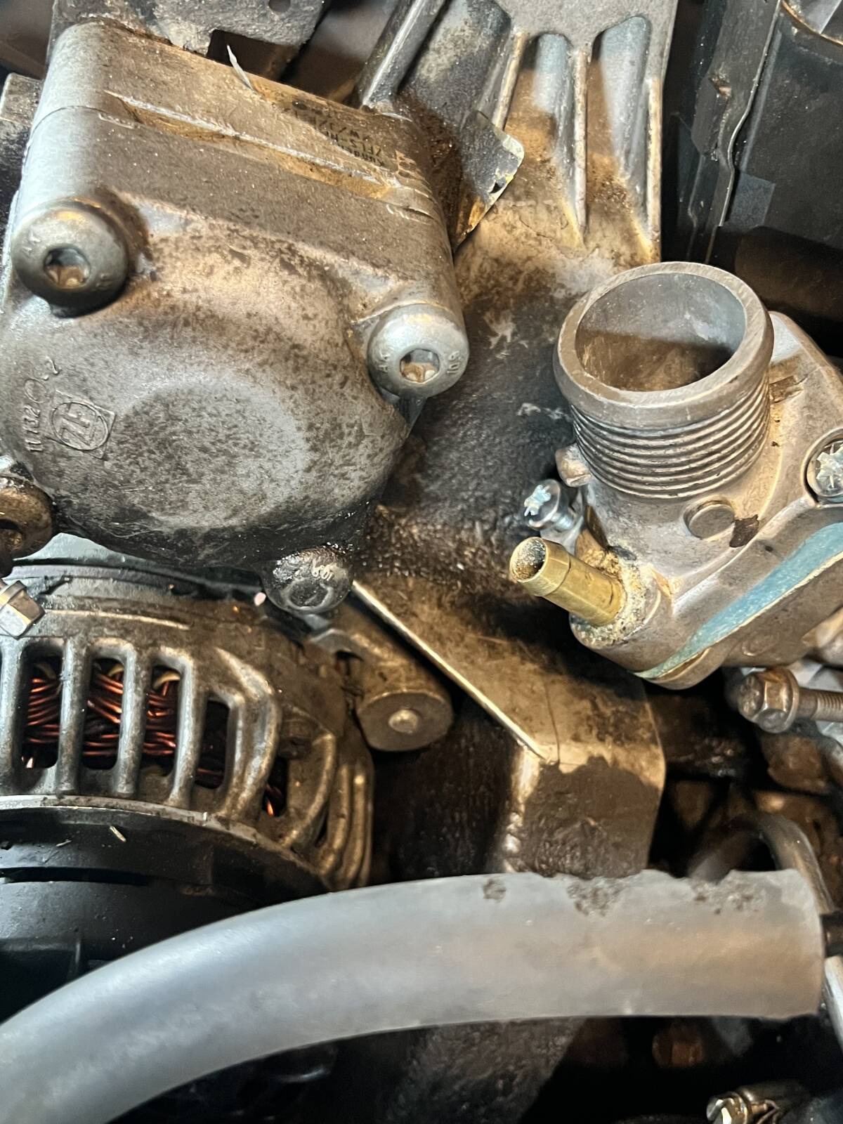 https://www1.garaget.org/gallery/images/31/30683/30683-9a04d95ba3232d22f2e1b932ef290948.jpg