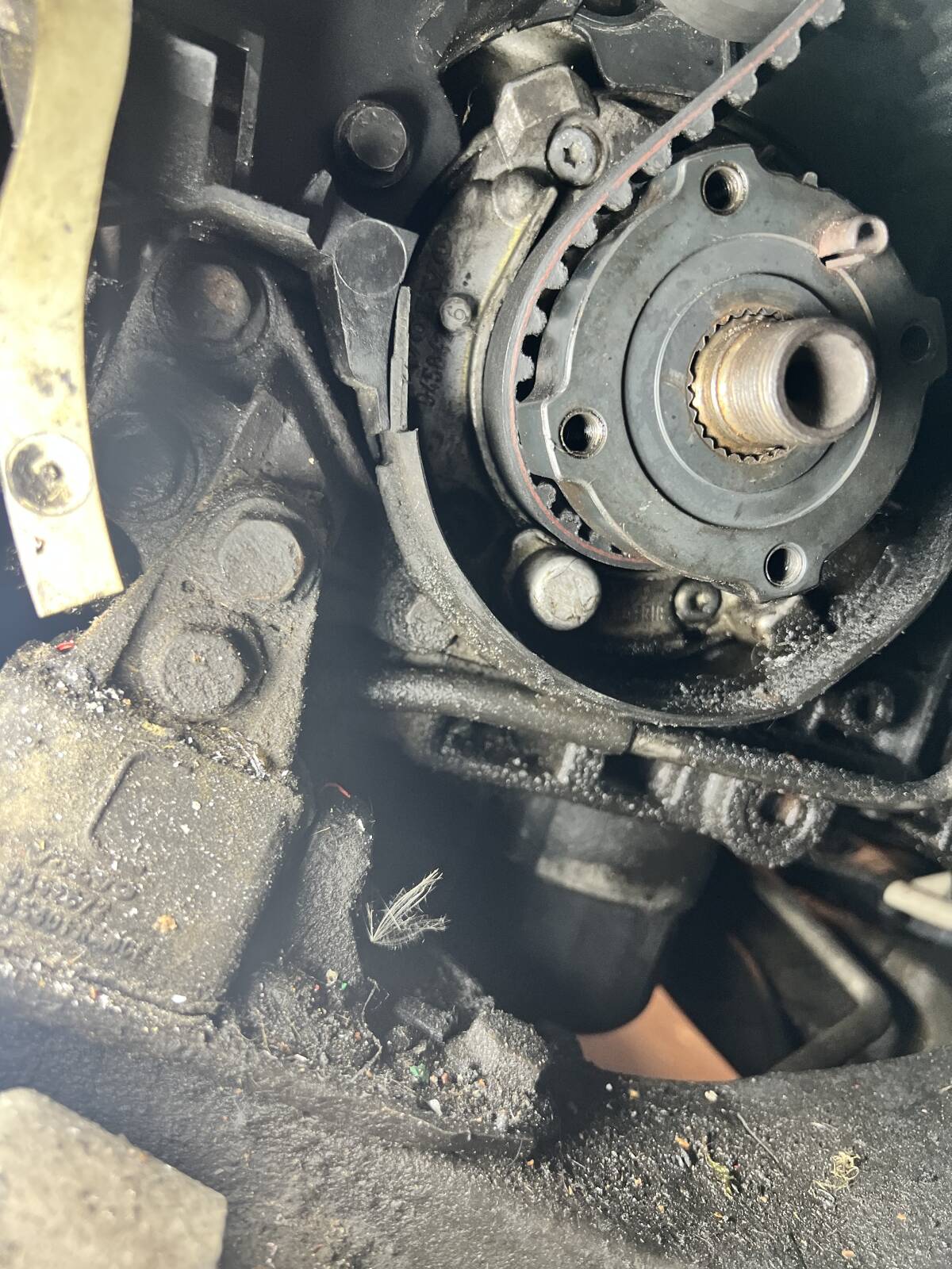 https://www1.garaget.org/gallery/images/31/30683/30683-c8c7502587902d066fe1e230eeb4368d.jpg