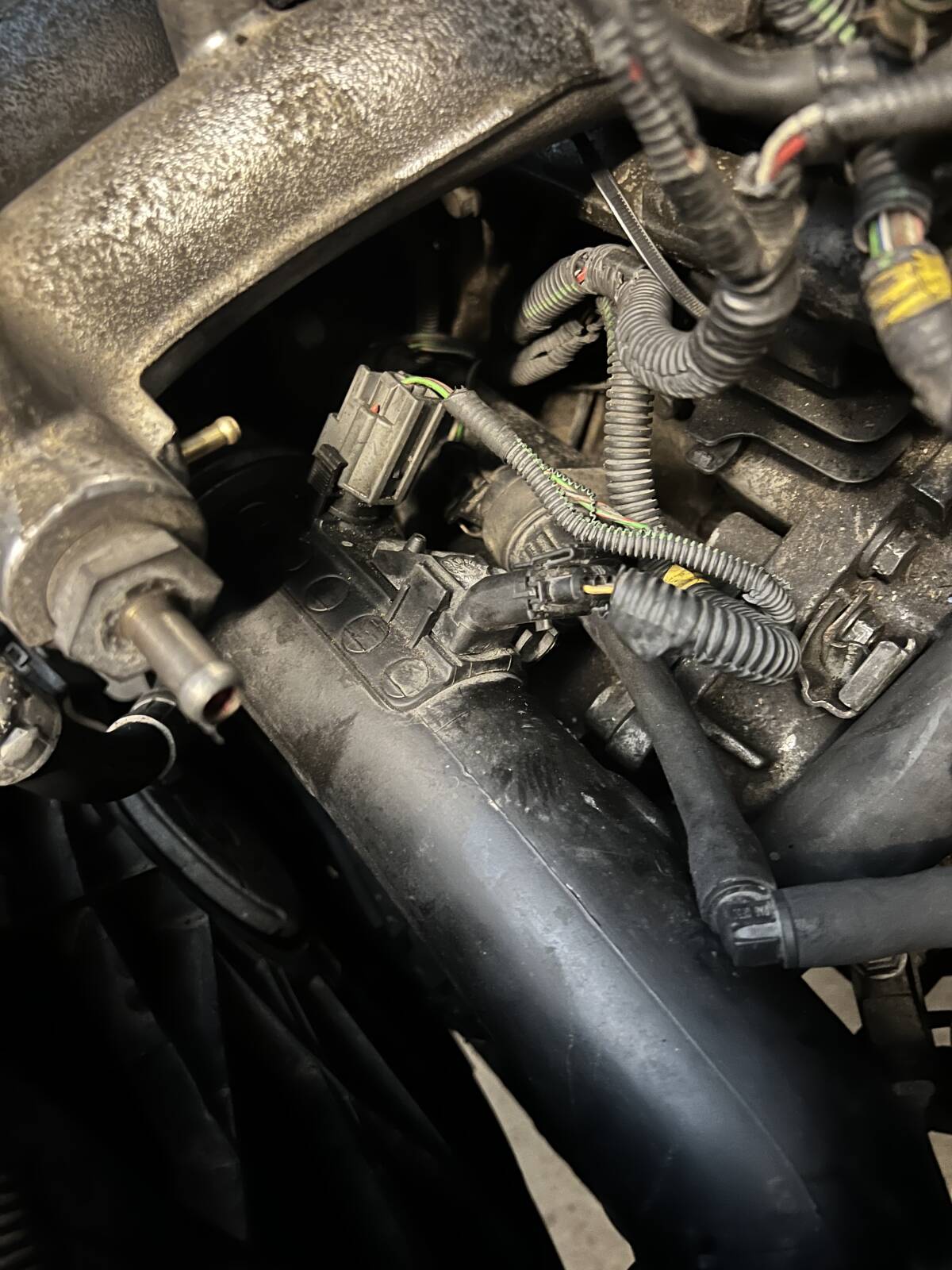 https://www1.garaget.org/gallery/images/31/30683/30683-d12a6fb33fc5490e5c39a4b339044c4b.jpg
