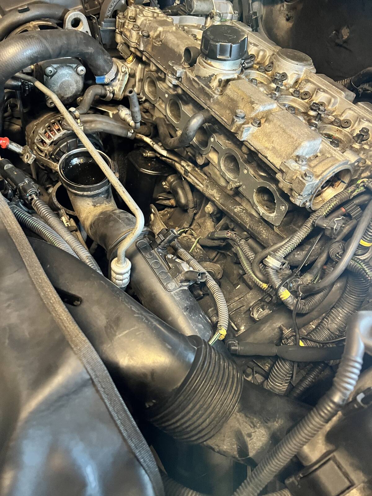 https://www1.garaget.org/gallery/images/31/30683/30683-e30b4f5736e847eb9a458728c0f5a0cf.jpg