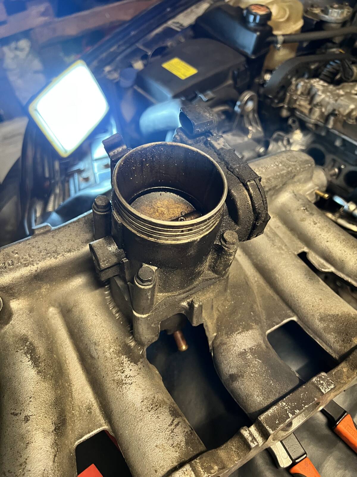 https://www1.garaget.org/gallery/images/31/30683/30683-e442b8e8fcaef63be81b37123b3a194c.jpg