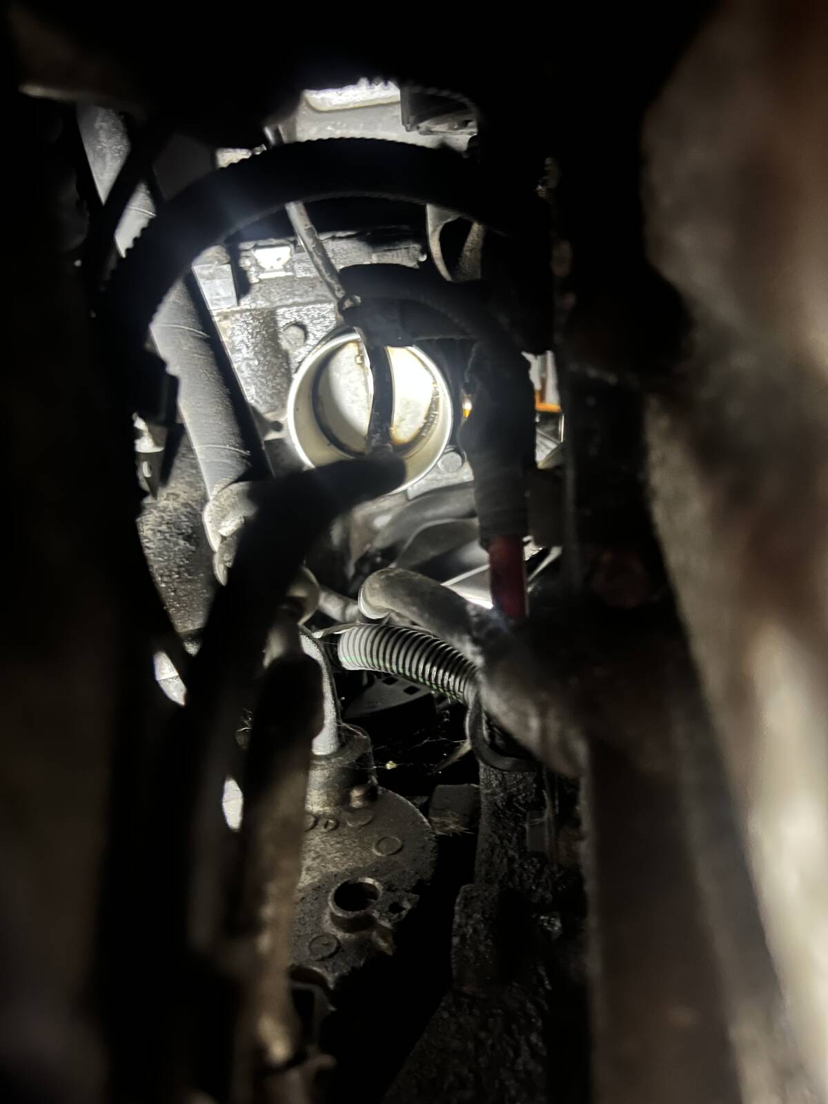 https://www1.garaget.org/gallery/images/31/30683/30683-e6835aa145cd9b75c6a5786aa1ecc2b2.jpg