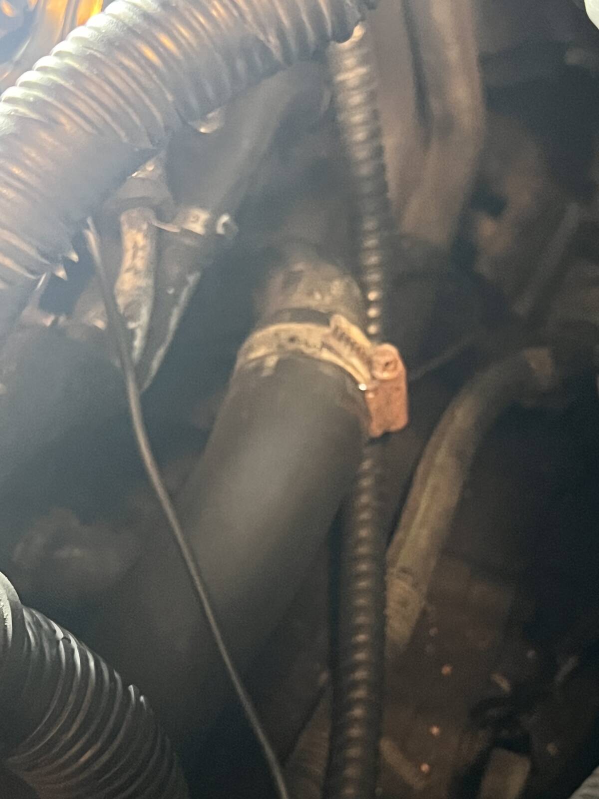 https://www1.garaget.org/gallery/images/31/30683/30683-fe000c8fd7852c24a73426b56d1880f5.jpg